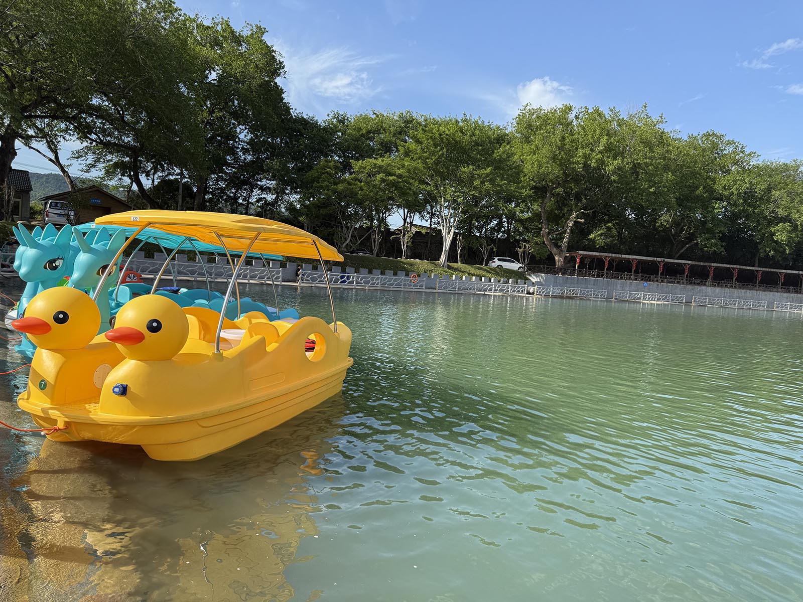 Hot Sale Electric Plastic Water duck patten boat Hot Sale Electric Plastic Water duck patten boat